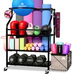 Amonax Metal Upgraded Storage Rack - Black, Weight Capacity 130 kg, Dumbbell Kettlebell Rack for Fitness Accessories Organizer, 68 x 92 x 40 cm, 0.73 kg