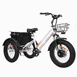 DWMEIGI 3 Wheel Electric Bike with 