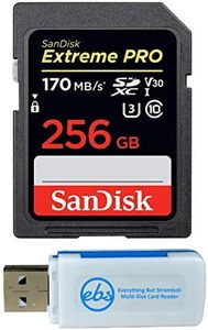 SanDisk 25