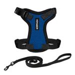 Voyager Step-in Lock Cat Harness and Reflective Cat Leash with Neoprene Handle by Best Pet Supplies - Supports Small, Medium and Large Breed Cats, Royal Blue/ Black Trim, size S - 5ft