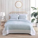 Tommy Bahama - Queen Quilt, Cotton Reversible Bedding, All Season Tropical Home Décor (Field of Fronds Blue, Queen)