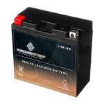 Chrome Battery YT14B-BS Chrome High Performance - Maintenance Free - Sealed AGM Motorcycle Battery