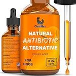 Natural Antibiotics for Dogs ◆ Dog 