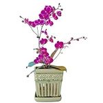 SUADEN Orchid Pots with Holes | 5" 