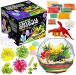 Original Stationery Dinosaur Crystal Growing Kit for Kids 7+, Includes 17 Pieces & Easy-to-Follow Manual, Grow 3 Crystals and Make A Pre-Historic Scene with Dinosaurs