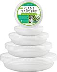 LotFancy Plant Saucer, 16 Pack 4 Si