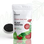 Florasoul® Plant Booster Vegan Organic Fertilizer All Purpose Plant Food Lush Growth and Flowering Certfied Organic Vegan Fertiliser Highly Concentrated Organic Seaweed Flakes Water-Soluble 500g/350l