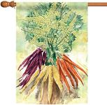 Toland Home Garden Watercolor Eggplants4