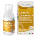 Bandini® Liposomal Coenzyme Q10 Liquid | High Strength Co Q10 | Vegan Ubiquinone from Fermentation | High Bioavailability & Absorption | Antioxidant for Heart, Skin, Immune System & Vascular Health