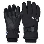 DEX FIT Cold Proof Warm Winter Outdoor Gloves WG201, Double Insulated Windproof, Comfortable Snug Finger Fit, Grip, Touchscreen, Durable Waterproof, Washable, Dexterity, Premium Black 10 (XL) 1 Pair