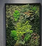 Unique Moss Wall Art - Preserved Li