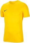 NIKE Men's M Nk Dry Park Vii Jsy T 