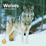 2025 Wolves Monthly Wall Calendar by Bright Day, 12 x 12 Inch Cute Nature Photography Gift