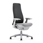 Haworth Fern Office Chair – Ergonomic and Stylish Desk Chair with Breathable Mesh Finish - with Lumbar Support (River Rock)