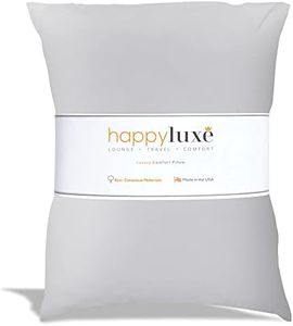 Happyluxe Odyssey Travel Pillow with Washable Cover, Small Airplane Pillow for Long Flights, Camping, and More, Neck Rest and Lumbar Support, Made in The USA, 13 x 17 Inches, Silver Gray