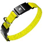 Fi Series 3+ Smart Dog Tracker Collar [12 Month Membership Included] GPS for Dogs with Health & Behavior Monitoring, Escape Alerts, Waterproof, LED, Apple Watch Pet Tracker (Yellow, Medium)