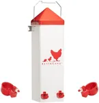 RentACoop 2 Gallon Chicken Waterer 
