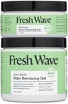 Fresh Wave Odor Removing Gel 15 oz 