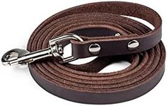 Mighty Paw Leather Dog Leash - Genu