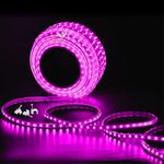 Errol Led Strip Lights | led Rope Light | Water Proof Strip Lights for Room | led Strip Light for Ceiling | Decorative | Home Decor Lights | Diwali Light (50 Meter, Pink)