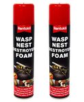 KRISP 2 x 300ml Wasp Nest Destroyer Foam Insect Control Spray Fast