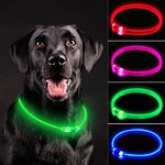 NOVKIN LED Dog Collar, Rechargeable Light Up Dog Collars,IP67 Waterproof Dog Lights for Night Walking，Adjustable, Reusable Safety Necklace for Small Medium Large Dogs (Green)