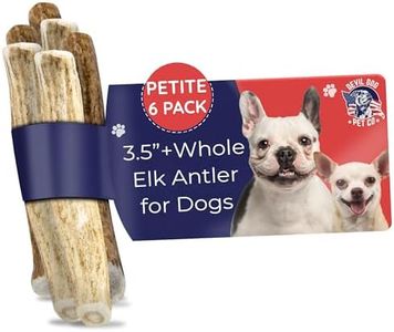 Devil Dog Pet Co. Elk Antlers for Dogs, Petite 3.5"+, 6 Pack, Grade A Long Lasting Chew for Aggressive Chewers, Premium USA Naturally Shed Antler – Healthy, No Odor, Durable Dog Chew