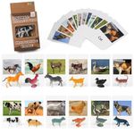 Montessori Animal Matching Cards,Figurines Poultry Animal with Matching Cards,Educational Toys for Toddlers,Montessori Materials Early Learning Language