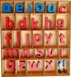 Cryo Craft Montessori Preschool Movable Lower case/Small Letter/Alphabets | 12 Set of Vowels & 6 Set of Consonants | with Wooden Organizer Box & Magnetic Backing