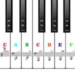 AIEX Piano Keyboard Stickers for 88/61/54/49 Key, Piano Notes Stickers Removable and Clear Piano Keyboard Letters for Beginners Kids (Colorful)