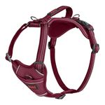 Halti Anatomy Dog Harness with Handle - Padded, Adjustable & Reflective No Pull Dog Harness, 3 Lead Attachment Points including Front Clip, Suitable for Small Dogs (Size S, Magenta)