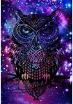 5D Diamond Painting Kits, Colorful 
