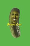 Picolas Cage Notebook: 6"x9" inches, soft cover, 110 pages, lined journal for use home, shool, office