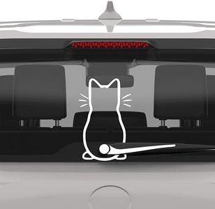 Cute Cat C