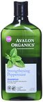 Organics Strengthening Peppermint Shampoo by Avalon for Unisex - 11 oz Shampoo