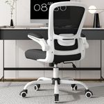 Office Chair, Ergonomic Desk Chair with Adjustable Lumbar Support & Seat Height, High Back Mesh Computer Chair with Flip-up Armrests Task Chairs (Modern, White)