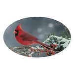 CafePress Cardinal Oval Bumper Sticker Car Decal