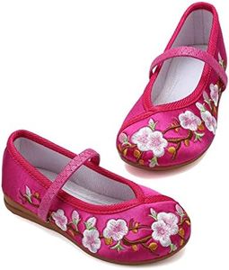 Encanto Costume Shoes Mary-Jane Flats Shoes Round Toe Low Wedge Ballet Flats Floral Embroidery Shoes for Girls Halloween Cosplay Dress Up, Rose01, 8 Toddler