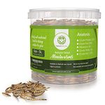 Buddy Wild Natural Dried Mealworms - 5L Tub for Wild Birds - High Protein, All Seasons, All Natural Bird Food