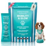PAWER WATER Advanced Dog Electrolytes & Joint Supplement – Ease Joint Discomfort & Boost Coat Glow for Pain-Free Play – Powered by Collagen, Biotin & Vitamins – Natural Chicken Broth (30 Day Supply)