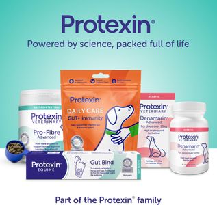 Protexin Pro-Kolin Digestive Paste for Pets, 15ml Syringe
