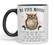 Vixar My Five Moods owl Sarcastic Joke Ceramic Coloured Mug Cup for Tea Coffee Hot Brew 330ml 11Oz (Black)