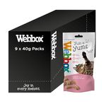 Webbox Yum-e-Yums Semi-Moist Cat Treats, Salmon - Kitten Friendly, Added Taurine, Wheat and Grain Free Recipe with No Artificial Colours (9 x 40g Bags)