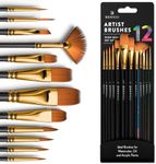 Professional Artist Paint Brush Set of 12 - Painting Brushes Kit for Kids, Adults Fabulous for Canvas, Watercolor & Fabric - for Beginners and Professionals - Great for Water, Oil or Acrylic Painting