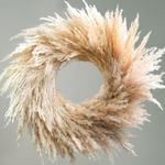 RoseTalk Natural Pampas Grass Wreath, 14'' Real Pampas Wreath for Front Door, Boho Wall Decor, Farmhouse Style, DIY Wreath Arrangement, Feather Wall Decor