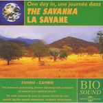 A Day in the Savanna (Zambia)