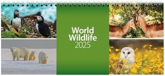 2025 World Wildlife Desk Calendar (CL08)