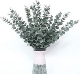 12pcs 18"/45cm Eucalyptus Stems Art