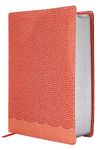 NIrV, Giant Print Compact Bible, Leathersoft, Peach, Comfort Print: New International Reader's Version, Peach, Giant Print Compact Bible for Boys, Leathersoft, Comfort Print