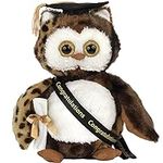 Bearington Wisdom Class of 2023 Graduation Plush Owl Stuffed Animal, Black Cap with Diploma & Sash, 8.5 Inch